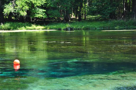 Entrada de caverna alagada, no rio transparente de Ginnie Springs, na Flórida, nos Estados Unidos